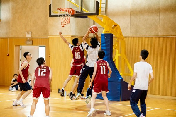 L'aviron dans la culture populaire : films et livres à découvrir